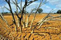 Libros e unidades didácticas descargables