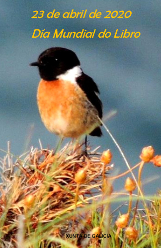 Día mundial do libro 2020