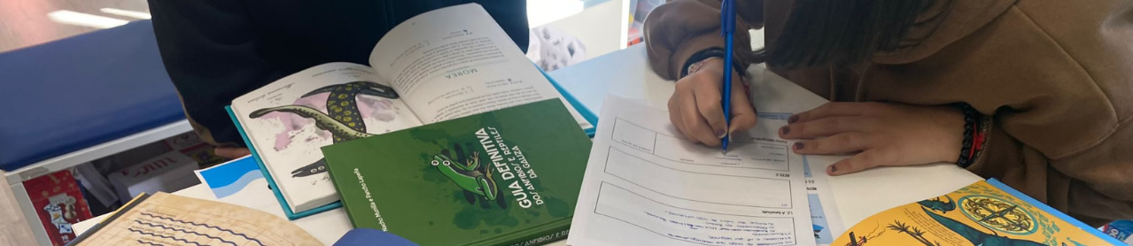 Traballo por proxectos: experiencias de centros