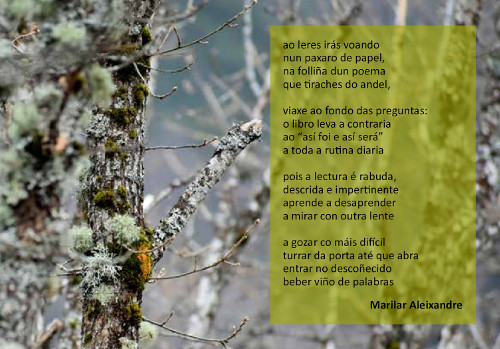 Día mundial do libro 2019