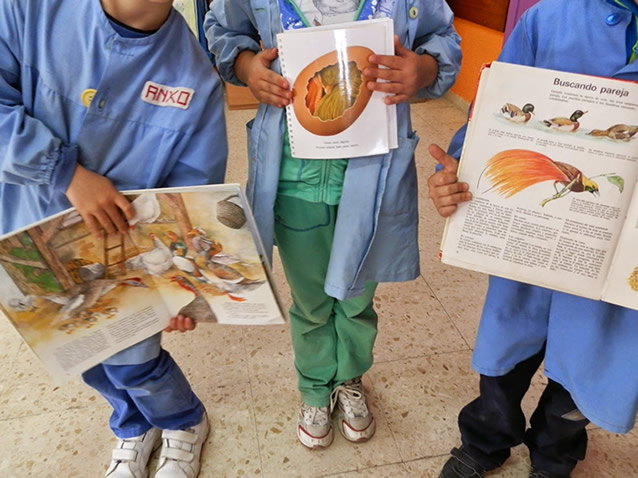 Traballo por proxectos 2013-2014